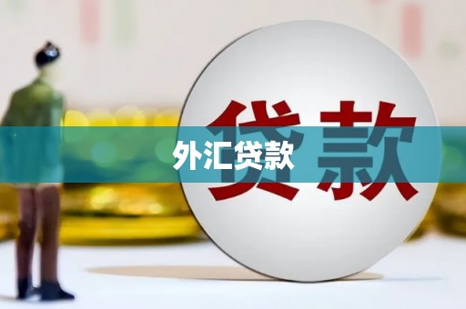 四川外汇贷款