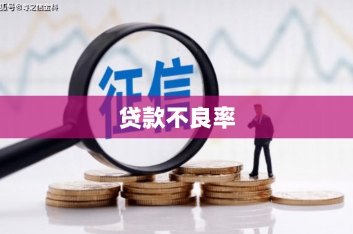 四川贷款不良率