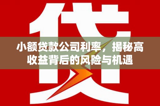 四川小额贷款公司利率，揭秘高收益背后的风险与机遇