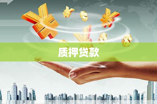 四川质押贷款