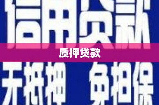 四川质押贷款