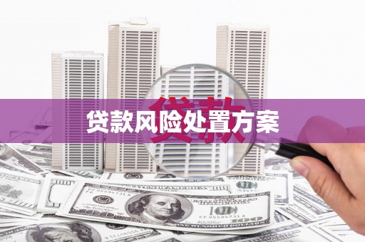 四川贷款风险处置方案
