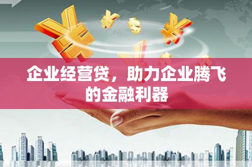 四川企业经营贷，助力企业腾飞的金融利器