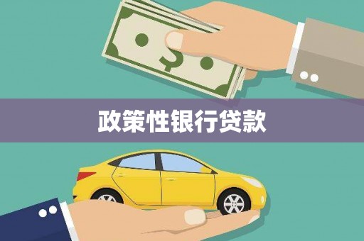 四川政策性银行贷款