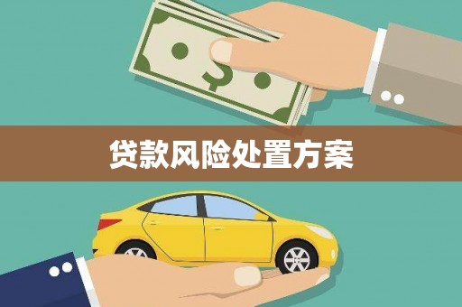 四川贷款风险处置方案