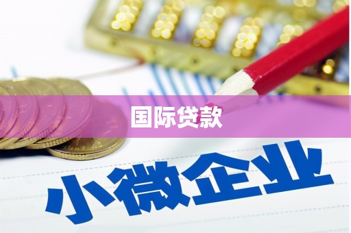 四川国际贷款