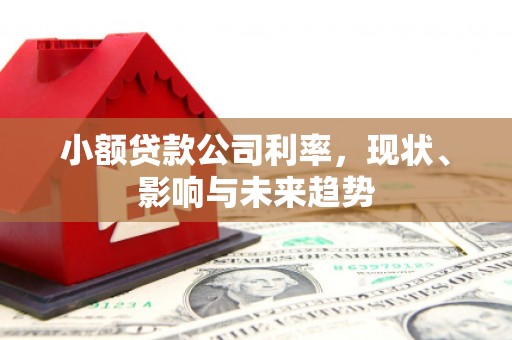 四川小额贷款公司利率，现状、影响与未来趋势