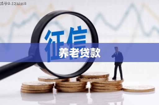 四川养老贷款