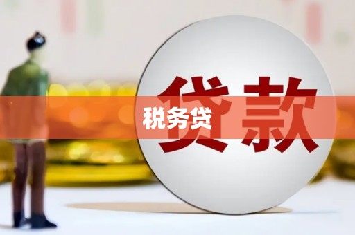 四川税务贷