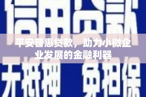 四川平安普惠贷款，助力小微企业发展的金融利器
