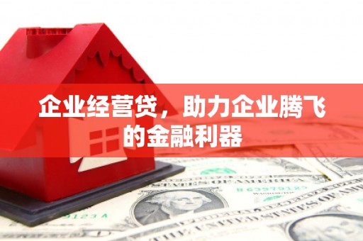 四川企业经营贷，助力企业腾飞的金融利器