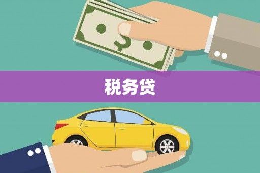 四川税务贷