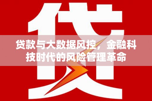 四川贷款与大数据风控，金融科技时代的风险管理革命