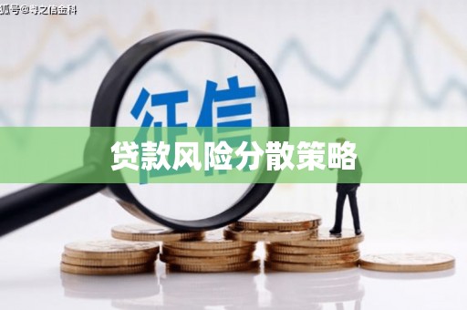 四川贷款风险分散策略