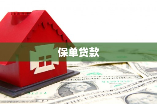 四川保单贷款