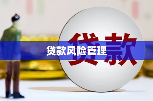 四川贷款风险管理