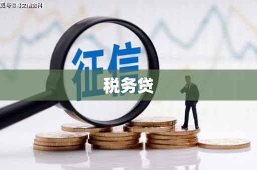 四川税务贷