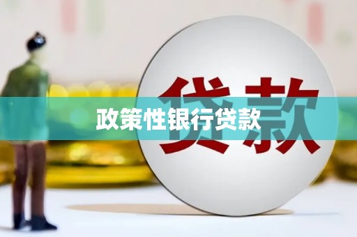 四川政策性银行贷款