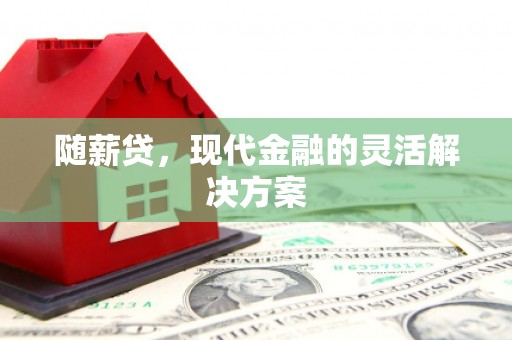 四川随薪贷，现代金融的灵活解决方案