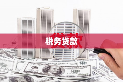 四川税务贷款