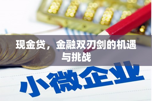 四川现金贷，金融双刃剑的机遇与挑战