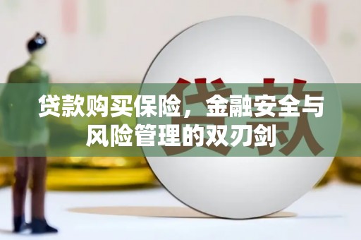 四川贷款购买保险，金融安全与风险管理的双刃剑