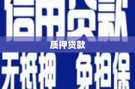 四川质押贷款