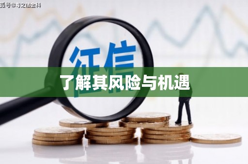 四川了解其风险与机遇