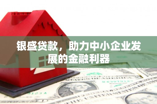 四川银盛贷款，助力中小企业发展的金融利器
