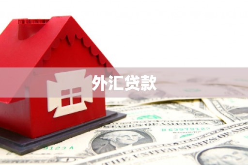 四川外汇贷款