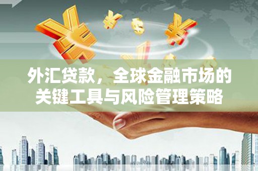 四川外汇贷款，全球金融市场的关键工具与风险管理策略