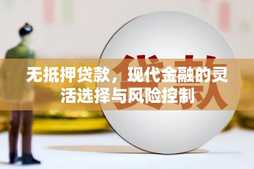 四川无抵押贷款，现代金融的灵活选择与风险控制