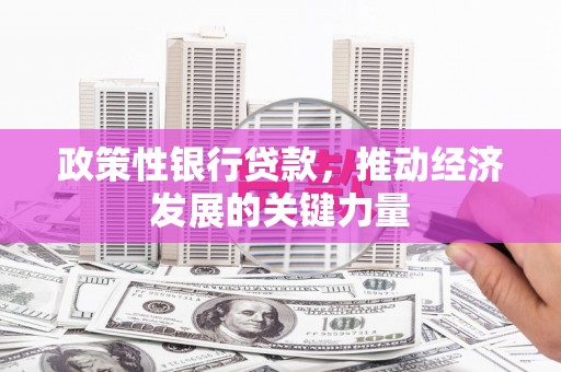 四川政策性银行贷款，推动经济发展的关键力量