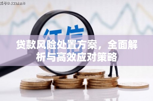 四川贷款风险处置方案，全面解析与高效应对策略