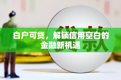 四川白户可贷，解锁信用空白的金融新机遇