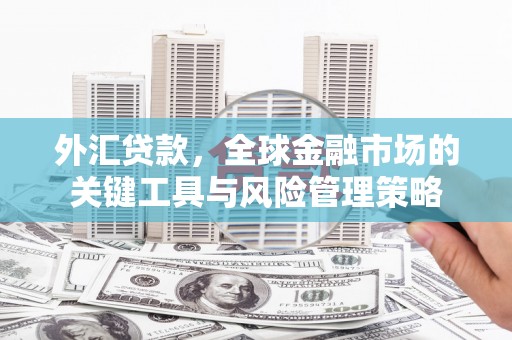 四川外汇贷款，全球金融市场的关键工具与风险管理策略