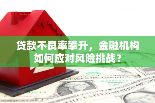 四川贷款不良率攀升，金融机构如何应对风险挑战？