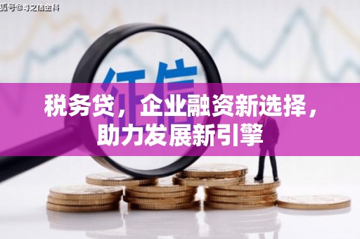 四川税务贷，企业融资新选择，助力发展新引擎