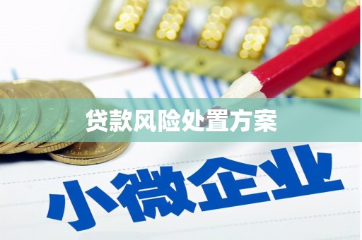 四川贷款风险处置方案