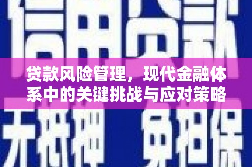 四川贷款风险管理，现代金融体系中的关键挑战与应对策略