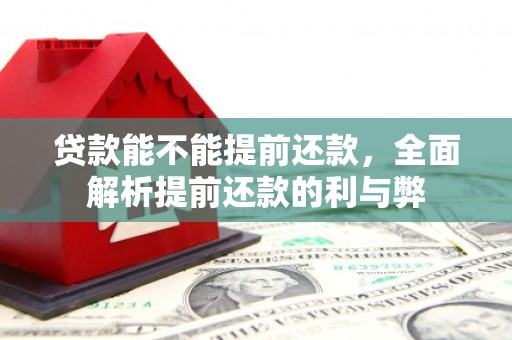 四川贷款能不能提前还款，全面解析提前还款的利与弊
