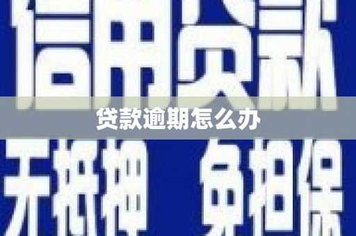 四川贷款逾期怎么办