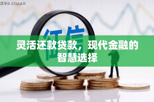 四川灵活还款贷款，现代金融的智慧选择