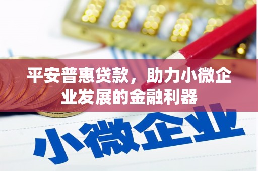 四川平安普惠贷款，助力小微企业发展的金融利器