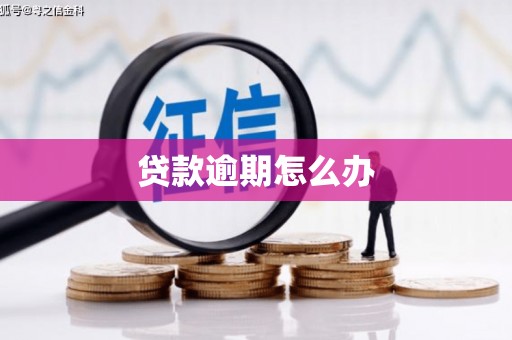 四川贷款逾期怎么办