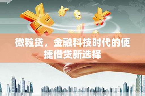 四川微粒贷，金融科技时代的便捷借贷新选择