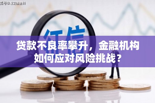 四川贷款不良率攀升，金融机构如何应对风险挑战？