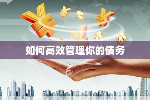四川如何高效管理你的债务