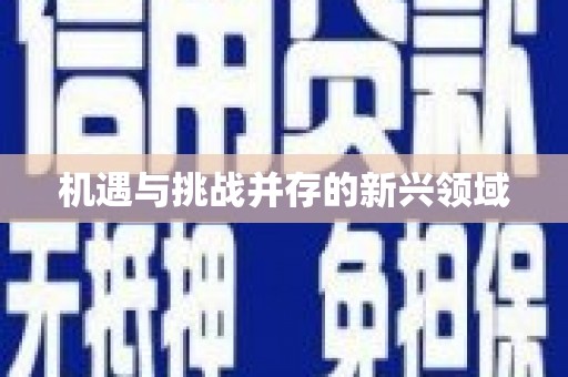 四川机遇与挑战并存的新兴领域