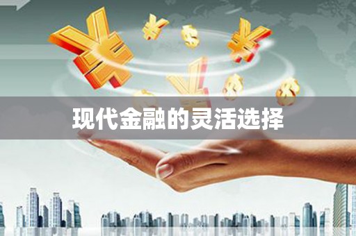 四川现代金融的灵活选择